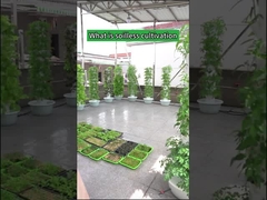 Menara Tumbuh Hidroponik Kelopak Pertanian Dalam Ruangan Taman
