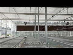 Mesh Wire Greenhouse Grow Table Rolling Bench Untuk Pembibitan