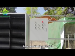 Proyek Rumah Kaca Bentang Tunggal Teratas dari AXE Greenhouse Peach-pointed