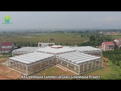 Proyek rumah kaca komersial terowongan besar
