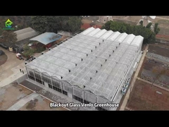 Rumah Kaca Pertanian Komersial Venlo Ventilasi Atas Rumah Kaca Multi-Span