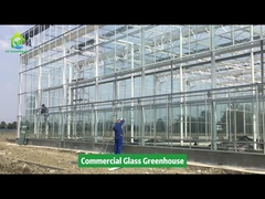 Proyek AX Greenhouse - Greenhouse Kaca Komersial