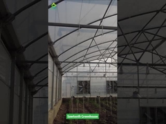 Sawtooth Design Rumah Kaca Film Plastik Tropis