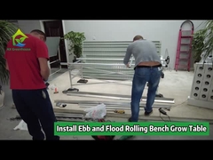 Ebb And Flow Greenhouse Rolling Bench Untuk Penyemaian Pertumbuhan Vertikal