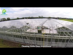 Membersihkan Rumah Kaca Kaca Venlo