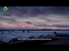 Rumah kaca pertanian film multi-span besar