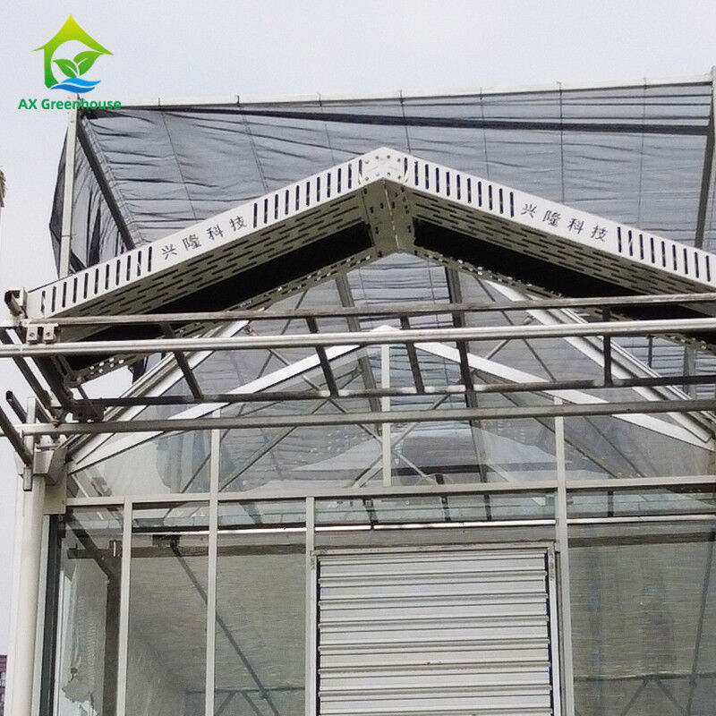 9.6m/10.8m/12m Lebar Kerangka Alloy Aluminium Kaca Pertanian Venlo Multi-span Rumah Kaca Dengan Perbentuk Atap Segitiga