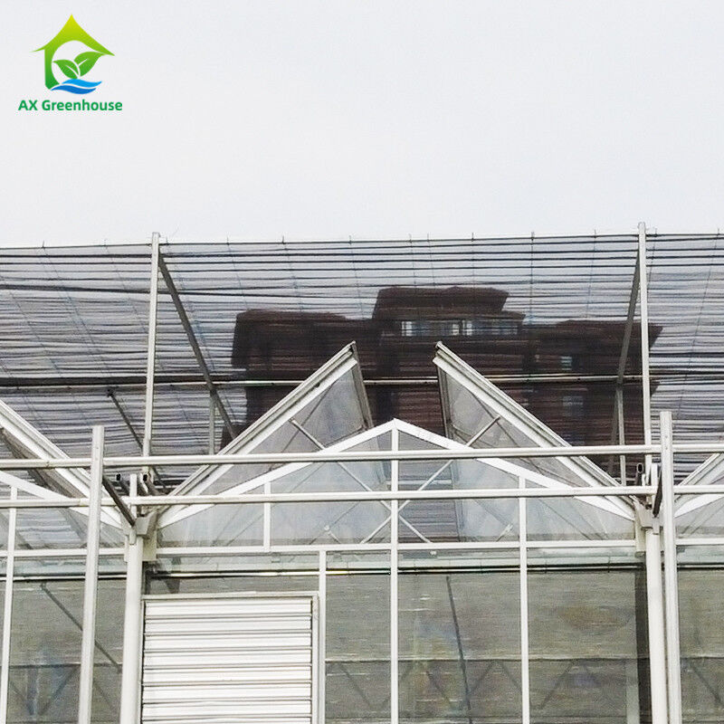 9.6m/10.8m/12m Lebar Kerangka Alloy Aluminium Kaca Pertanian Venlo Multi-span Rumah Kaca Dengan Perbentuk Atap Segitiga