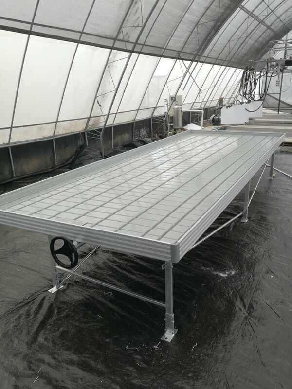 Grow Table Flood Tray Rolling Ebb And Flow Bench Untuk Bibit Bunga Rumah Kaca