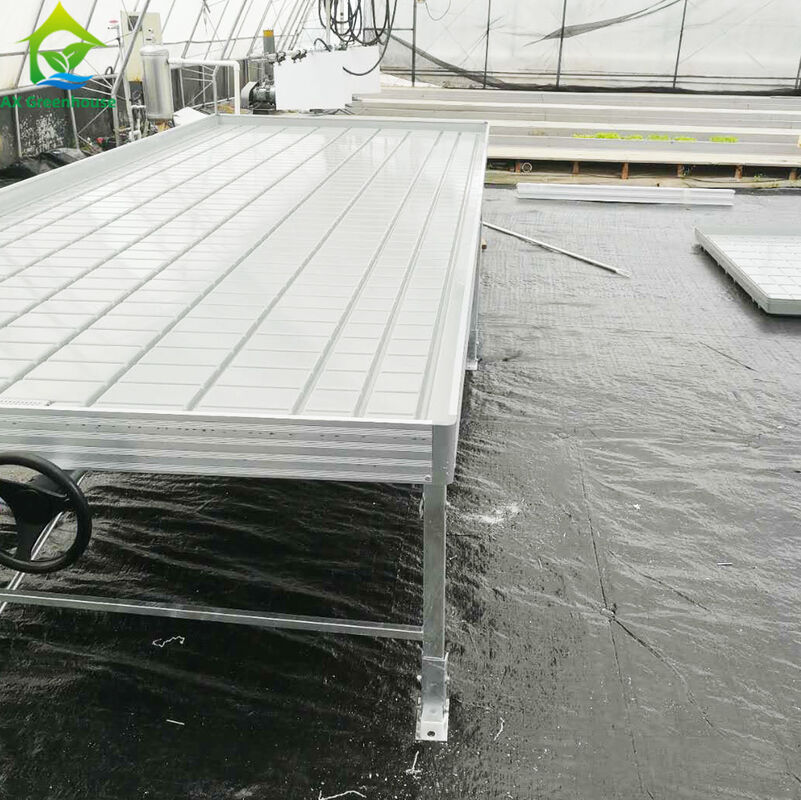 ODM Indoor Outdoor Taman Hidroponik Rumah Kaca Bangku Bergulir Sistem Rak Tumbuh Vertikal