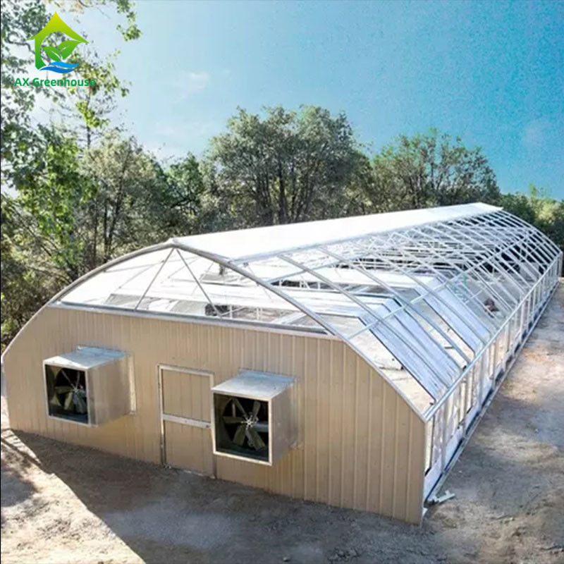 PE Film 220V Auto Light Deprivation Greenhouse 100% Blackout High Tunnel Greenhouse untuk penanaman Mariguana