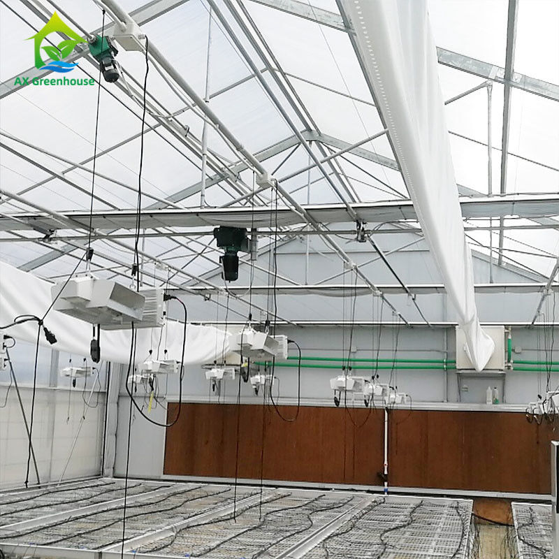 PE Film 220V Auto Light Deprivation Greenhouse 100% Blackout High Tunnel Greenhouse untuk penanaman Mariguana