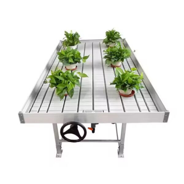 Pertanian Ukuran Custom Greenhouse Tumbuh Meja Hydroponic Ebb Flood Rolling Bench