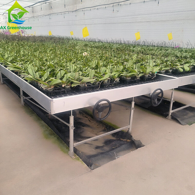 Ebb And Flood Hydroponic Movable Table Rolling Bench Untuk Menumbuhkan Tanaman Di Rumah Kaca