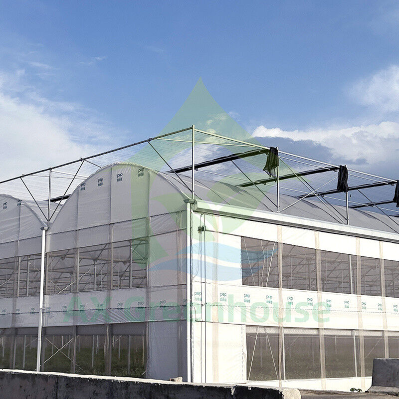 Plastik PE Film Multi Span Tomato Poly Tunnel Greenhouse Untuk Buah Sayuran Dengan Shade Net