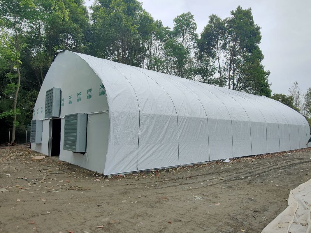 Harga Pabrik Custom Plastik Film Terowongan Tomat Tumbuh Tenda Rumah Kaca untuk Pertanian