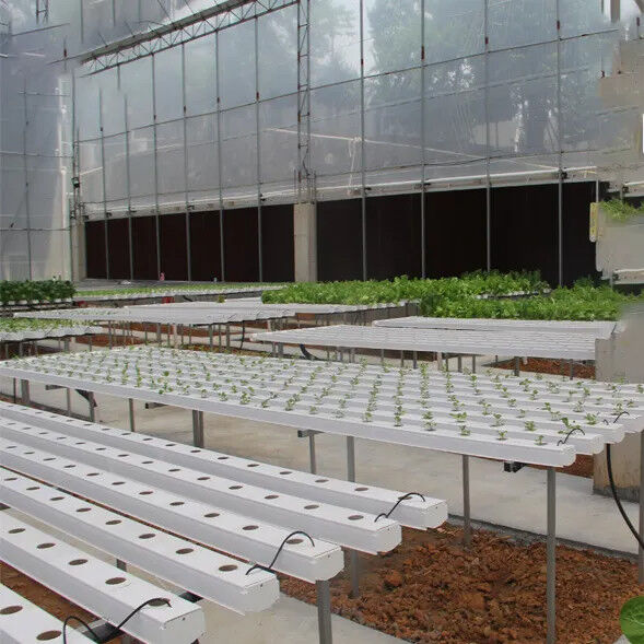 Tanah Tanpa Pertanian Indoor Strawberry Tumbuh PVC Tabung Untuk Hydroponics Sistem NFT Untuk Dijual