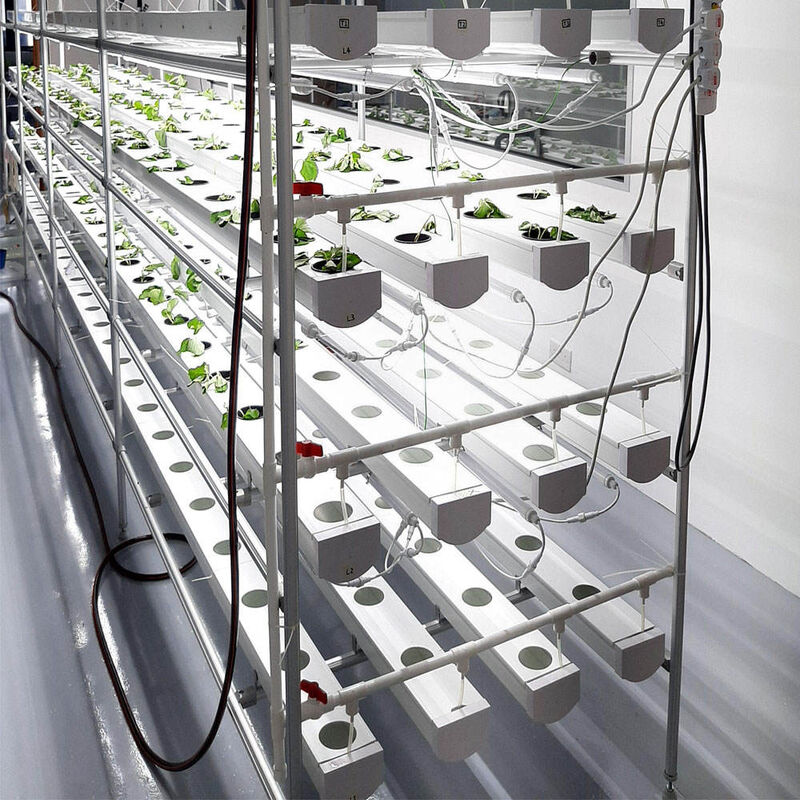 Tanah Tanpa Pertanian Indoor Strawberry Tumbuh PVC Tabung Untuk Hydroponics Sistem NFT Untuk Dijual