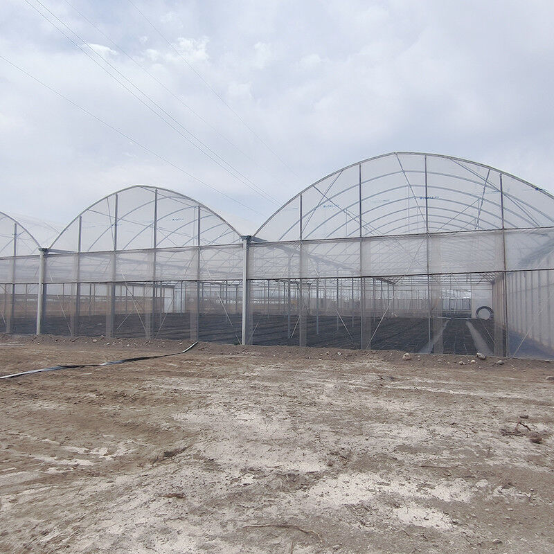 Hot Galvanized Steel Structure Multi-Span Plastic Film Custom Greenhouse dengan Tropical Top Ventilation Sawtooth Design