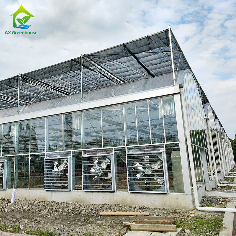 Sistem Kontrol Cerdas Rumah kaca tahan lama Untuk Sayuran 9.6m/10.8m/12m Lebar