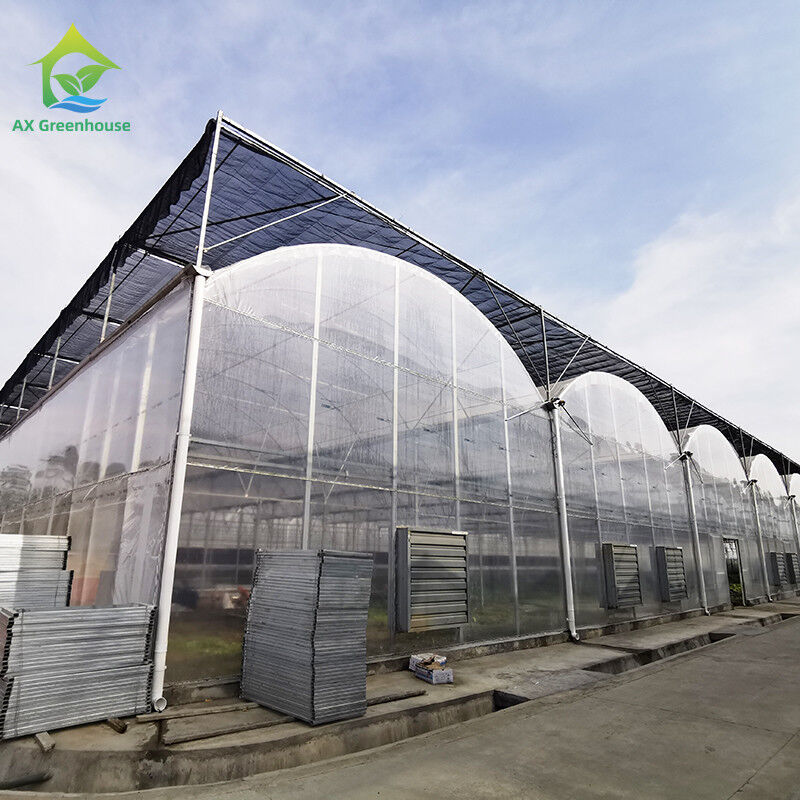 UV tahan 30x10m Plastik film rumah kaca untuk tomat dan sayuran dengan film penutup