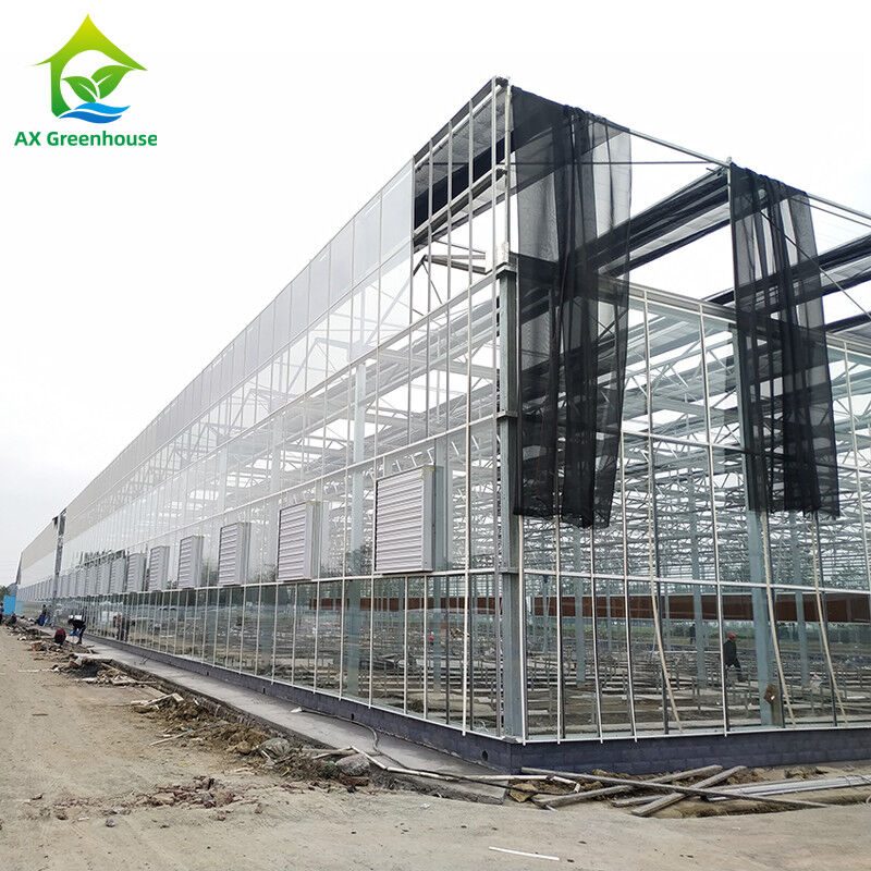 Sistem Kontrol Cerdas Rumah kaca tahan lama Untuk Sayuran 9.6m/10.8m/12m Lebar