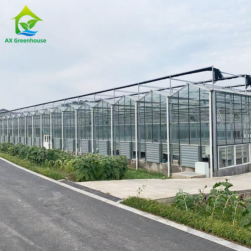 9.6m/10.8m/12m Lebar Kerangka Alloy Aluminium Kaca Pertanian Venlo Multi-span Rumah Kaca Dengan Perbentuk Atap Segitiga