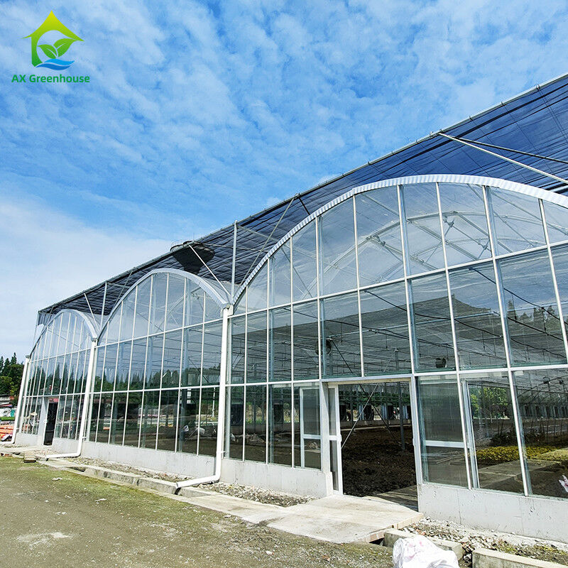 Triangle Roof Molding Komersial Multi-span Large Tunnel Glass House Bunga Menumbuhkan Rumah Kaca Gotik