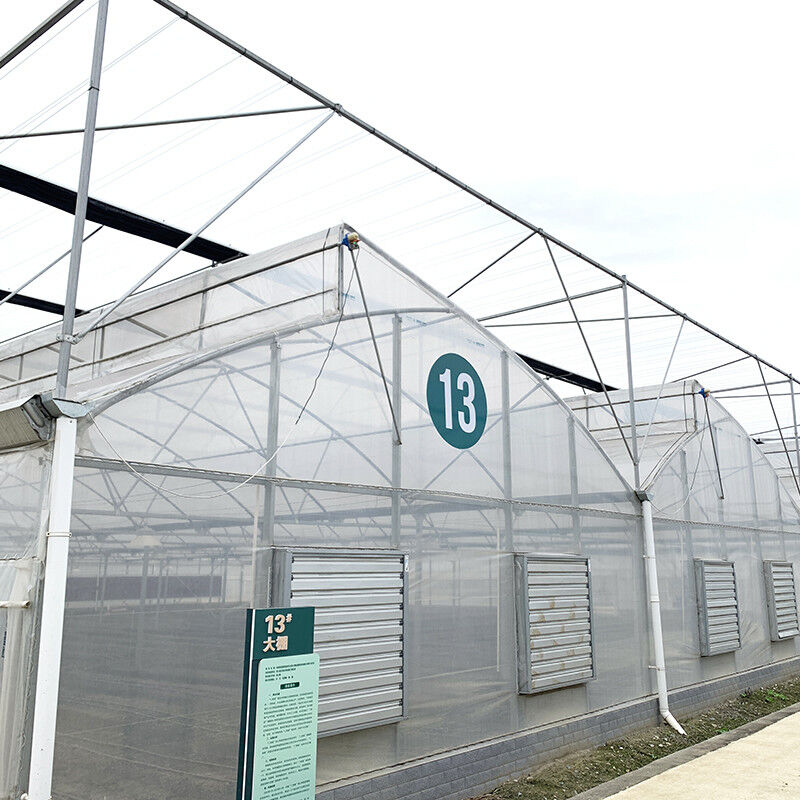 Struktur Baja Sawtooth Poly Film Low Tunnel Pertanian Multi-span Greenhouse untuk Produksi Sayuran Berkelanjutan