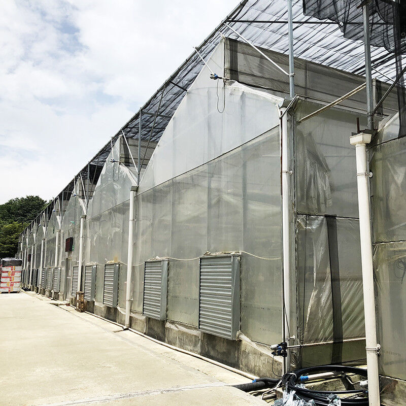 Struktur Baja Sawtooth Poly Film Low Tunnel Pertanian Multi-span Greenhouse untuk Produksi Sayuran Berkelanjutan