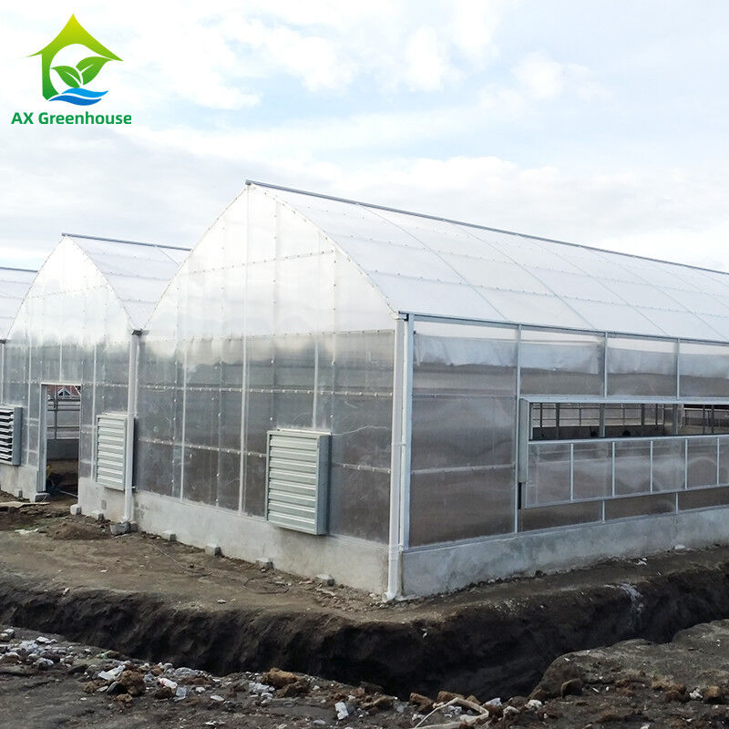 Tanaman Budidaya Single Span Polycarbonate PC Sheet Greenhouse dengan struktur yang stabil dan pemasangan mudah