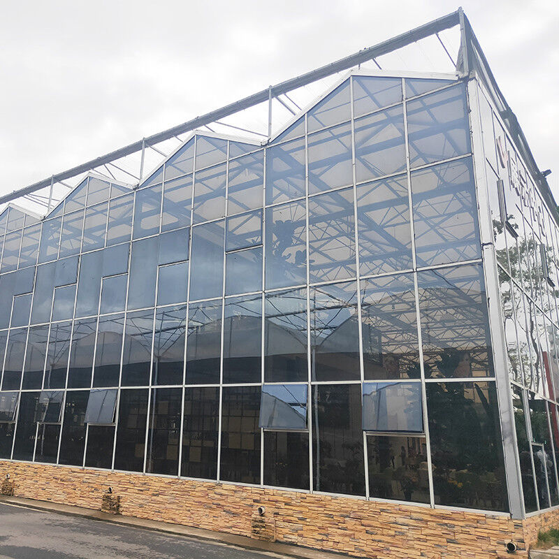 Hot Dip Galvanized Steel Multi-Span Venlo Tempered Glass Tomato Greenhouse untuk Kondisi Pertumbuhan yang Optimal