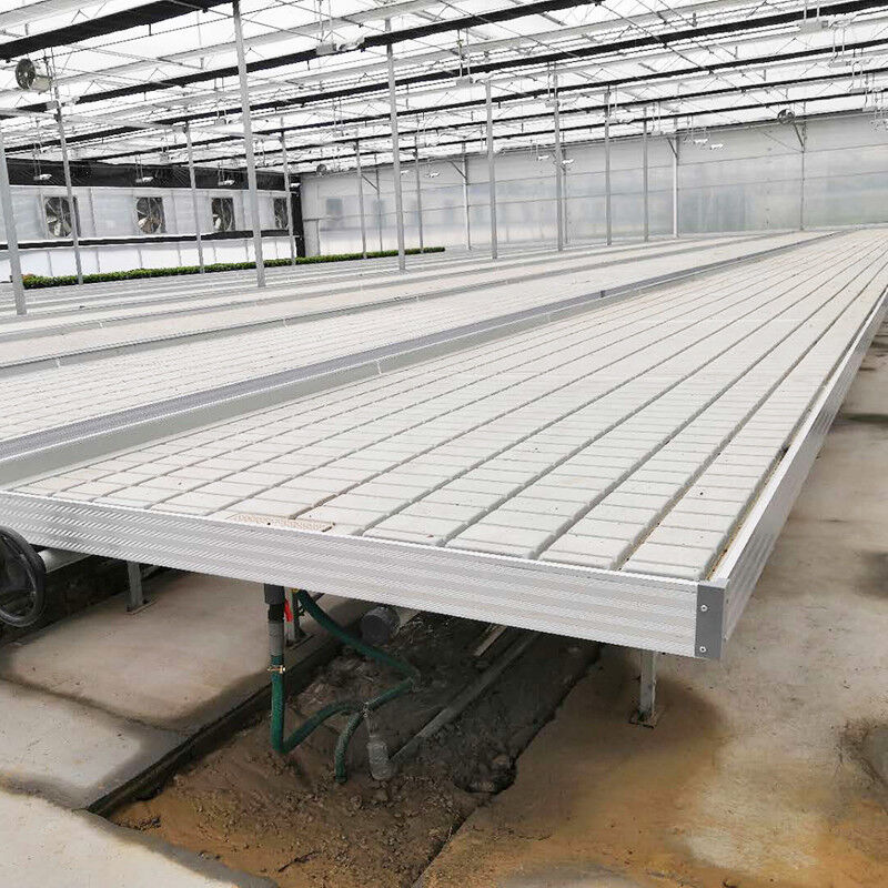 Greenhouse Hydroponic Soilless Culture Ebb Flood Grow Table Seedbed Rolling Bench Untuk Salad