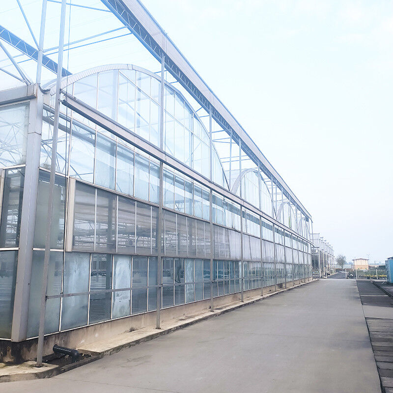 Industri Pertanian Mewah Venlo Rumah Kaca Tempered Rumah Kaca Herbal Dengan Struktur Stabil Dan Sistem Pemanasan