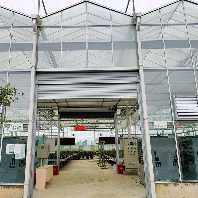 Hot Dip Galvanized Steel Structure Automatic Ventilation Agricultural Glass Venlo Multi-span Tomato Seedling Greenhouse Rumah kaca