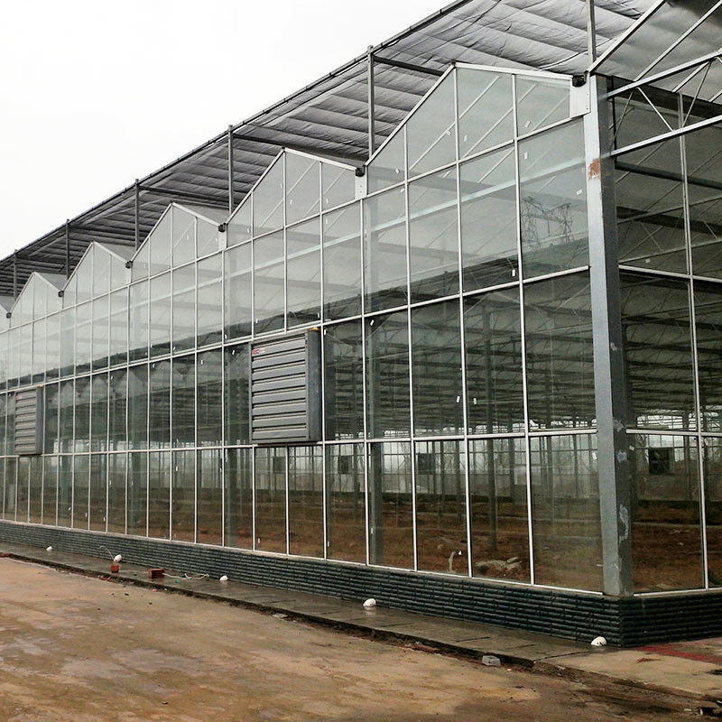 Panel Kaca Pertanian Tipe Venlo Panel Tempered Rangka Baja Galvanis untuk Budidaya Mentimun