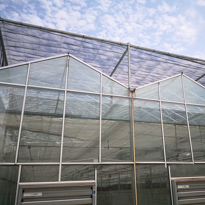 Pertanian Cerdas Jenis Venlo Pertanian Kaca Tempered Terowongan Besar Multi-span Rumah Kaca