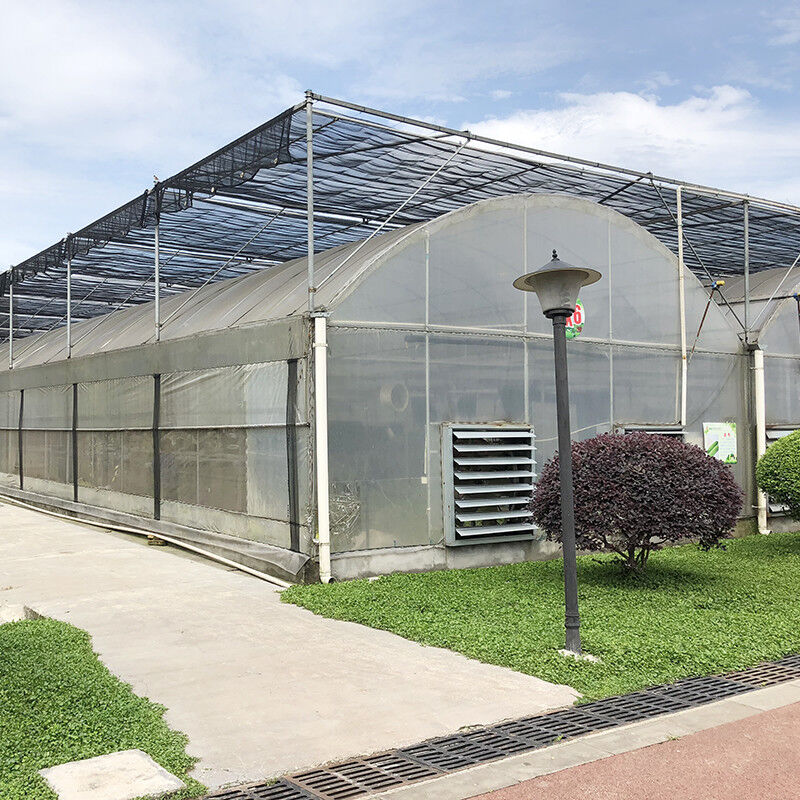 Struktur Baja Terowongan Besar Custom Multi-span Plastik Blueberry tumbuh rumah kaca untuk struktur yang stabil