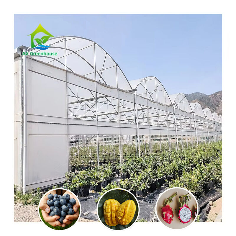 Rumah Kaca Polytunnel Multi-Rentang Tahan Lama Baja Tugas Berat Tahan Angin Salju Pertanian Komersial Pembibitan
