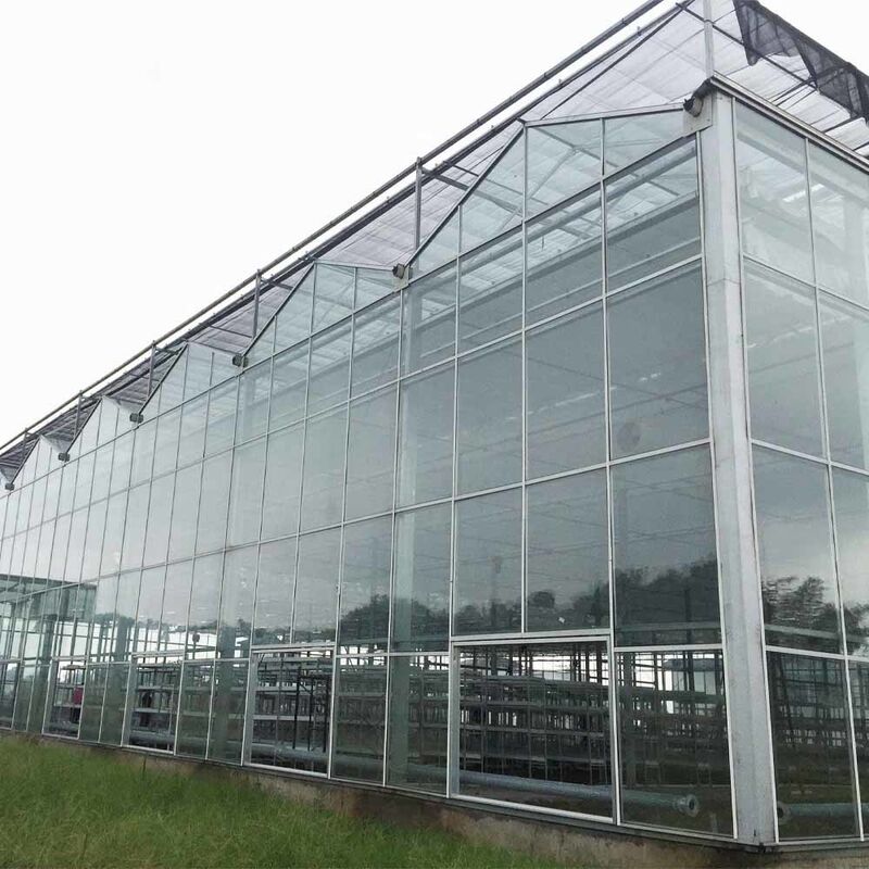 Panel Kaca Pertanian Tipe Venlo Panel Tempered Rangka Baja Galvanis untuk Budidaya Mentimun