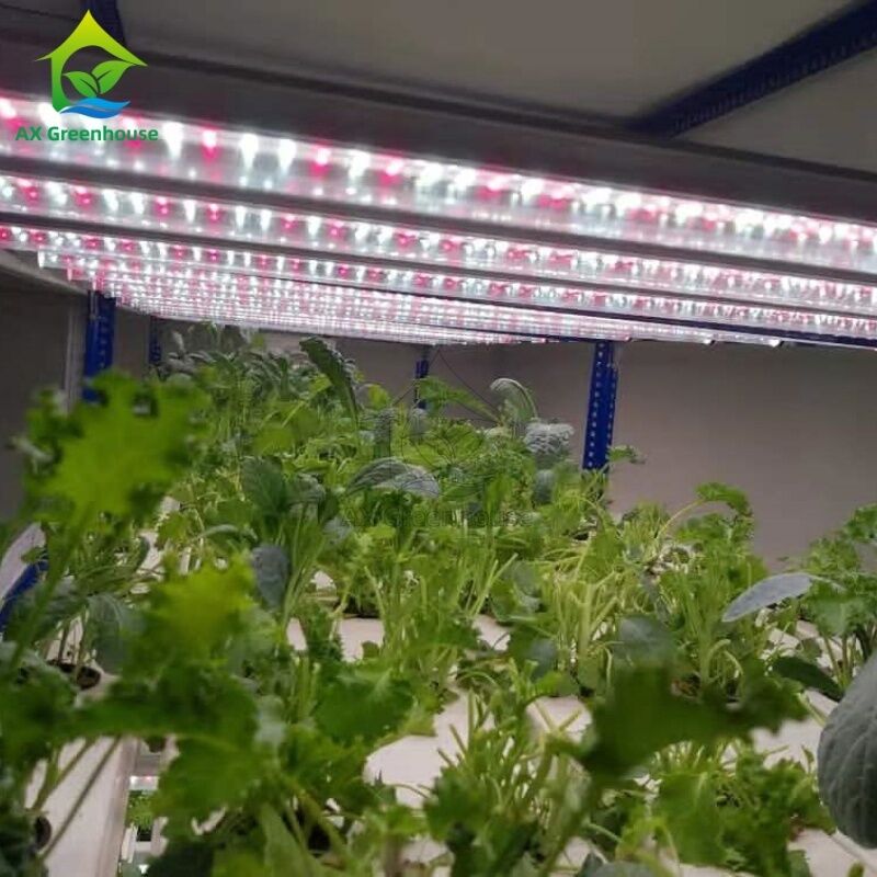 Sistem Hidroponik NFT Vertikal Multi-lapis Otomatis dengan Pencahayaan LED Terintegrasi untuk Budidaya Tanpa Tanah
