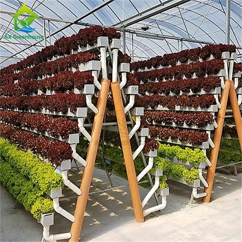 Sistem budidaya tanpa tanah rumah kaca A-frame Teknik Nutrient Film NFT Channel Efisien budidaya sayuran
