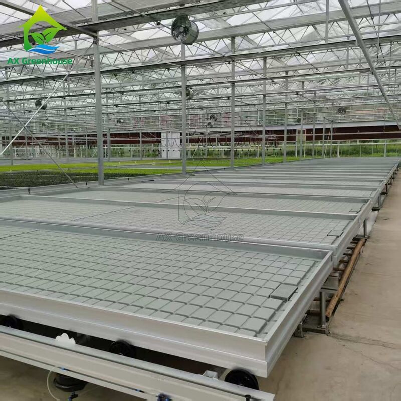 Custom Logistics-based Track-mounted Adjustable Ebb and Flow Table Seedling Bed untuk Budidaya Biji Rumah Kaca
