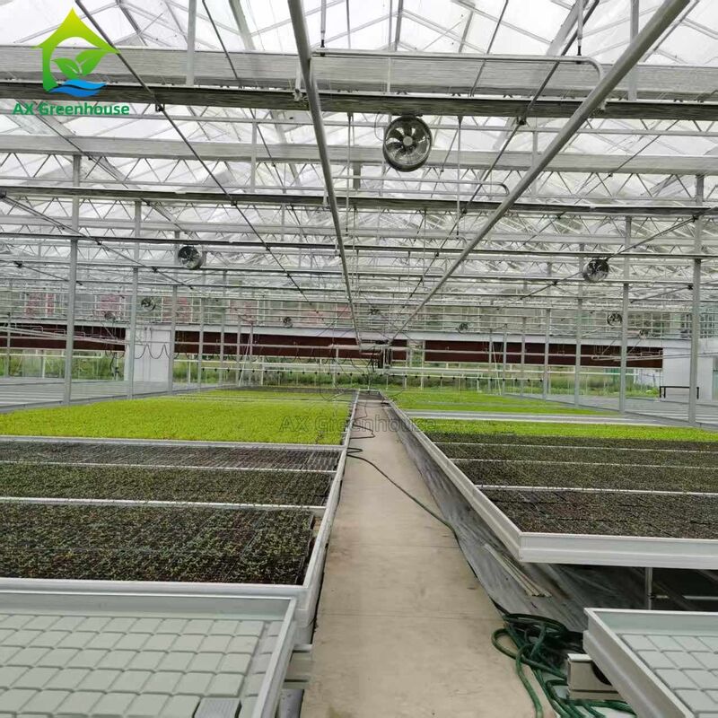 Custom Logistics-based Track-mounted Adjustable Ebb and Flow Table Seedling Bed untuk Budidaya Biji Rumah Kaca