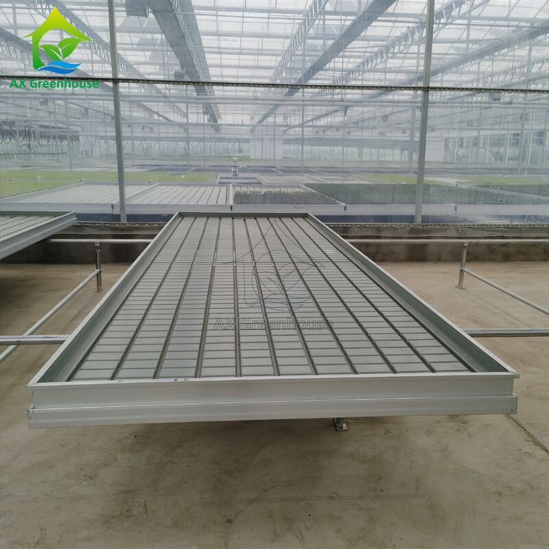 Custom Logistics-based Track-mounted Adjustable Ebb and Flow Table Seedling Bed untuk Budidaya Biji Rumah Kaca