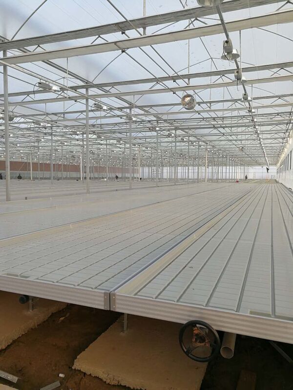 0.71-1.78m Lebar Rumah Kaca Rolling Benches Ebb And Flow Hydroponic Flood Table