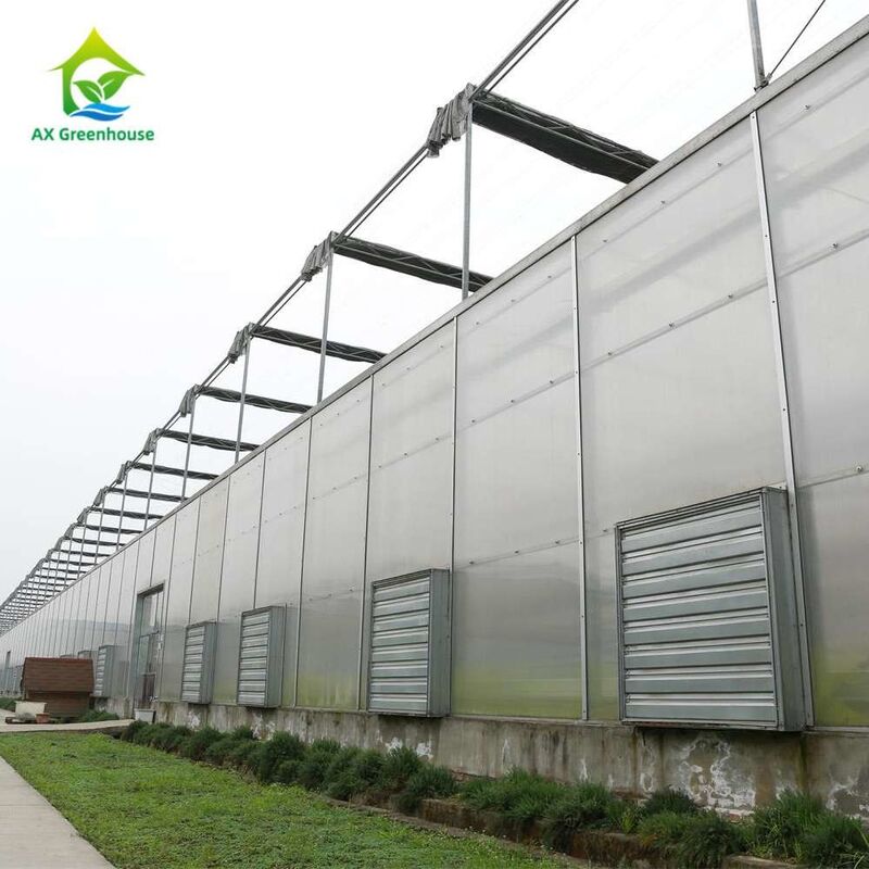 Tanaman Budidaya Single Span Polycarbonate PC Sheet Greenhouse dengan struktur yang stabil dan pemasangan mudah