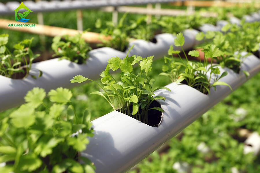 Tanah Tanpa Pertanian Indoor Strawberry Tumbuh PVC Tabung Untuk Hydroponics Sistem NFT Untuk Dijual